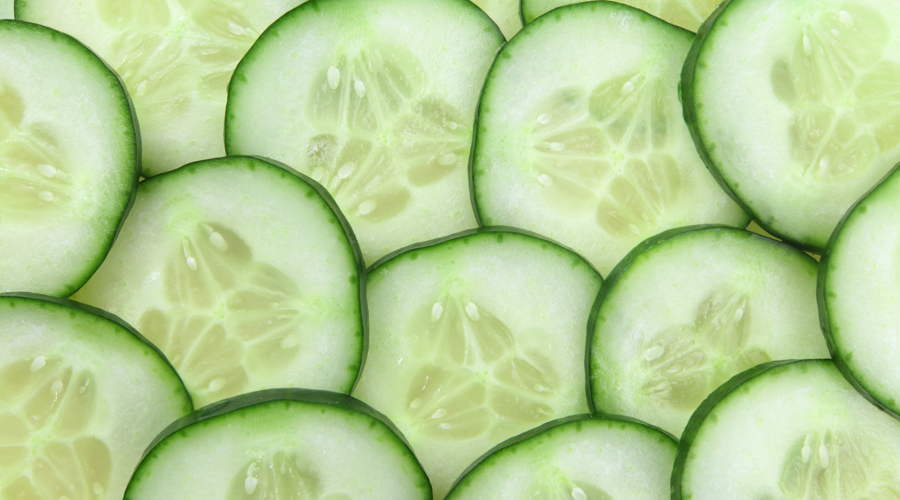close up of chopping up cucumbers