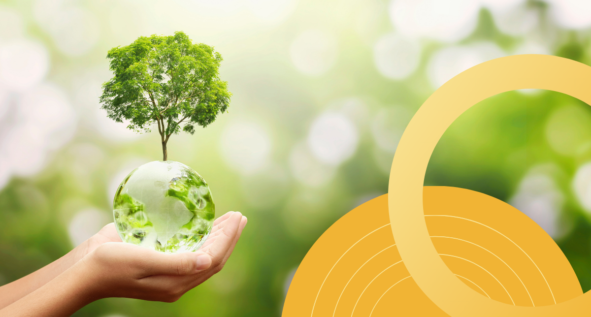 Save Your Restaurant Money by Going Green