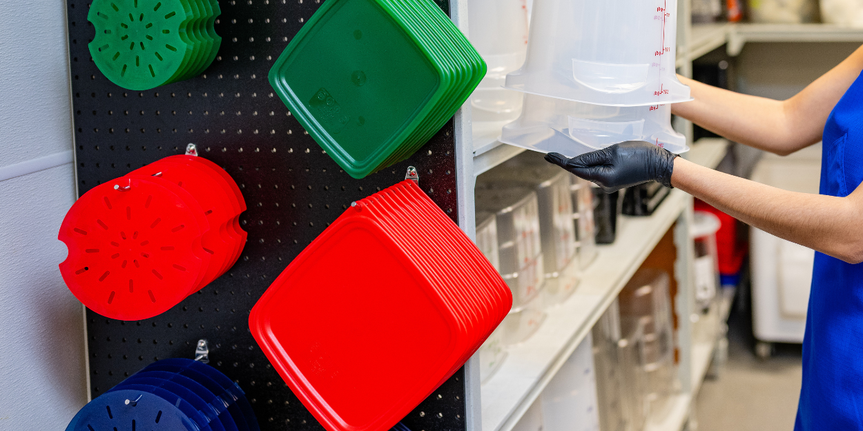 Commercial kitchen smallwares storage with containers and cutting boards on display
