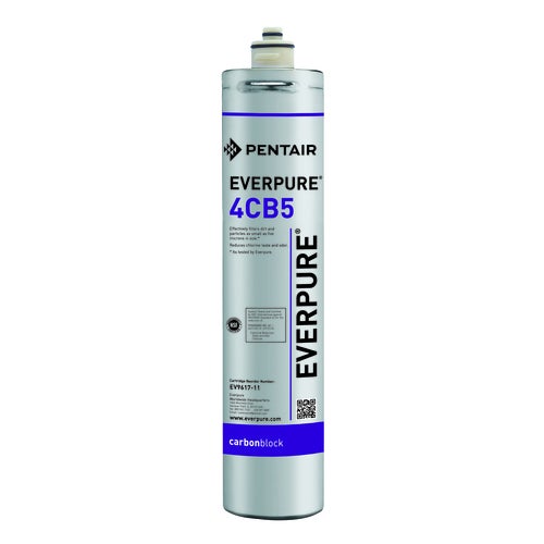 Everpure EV961716 Water Filtration System Cartridge