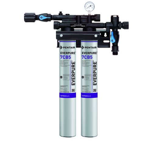 Everpure EV979740 Water Filtration System for Steam Equipment