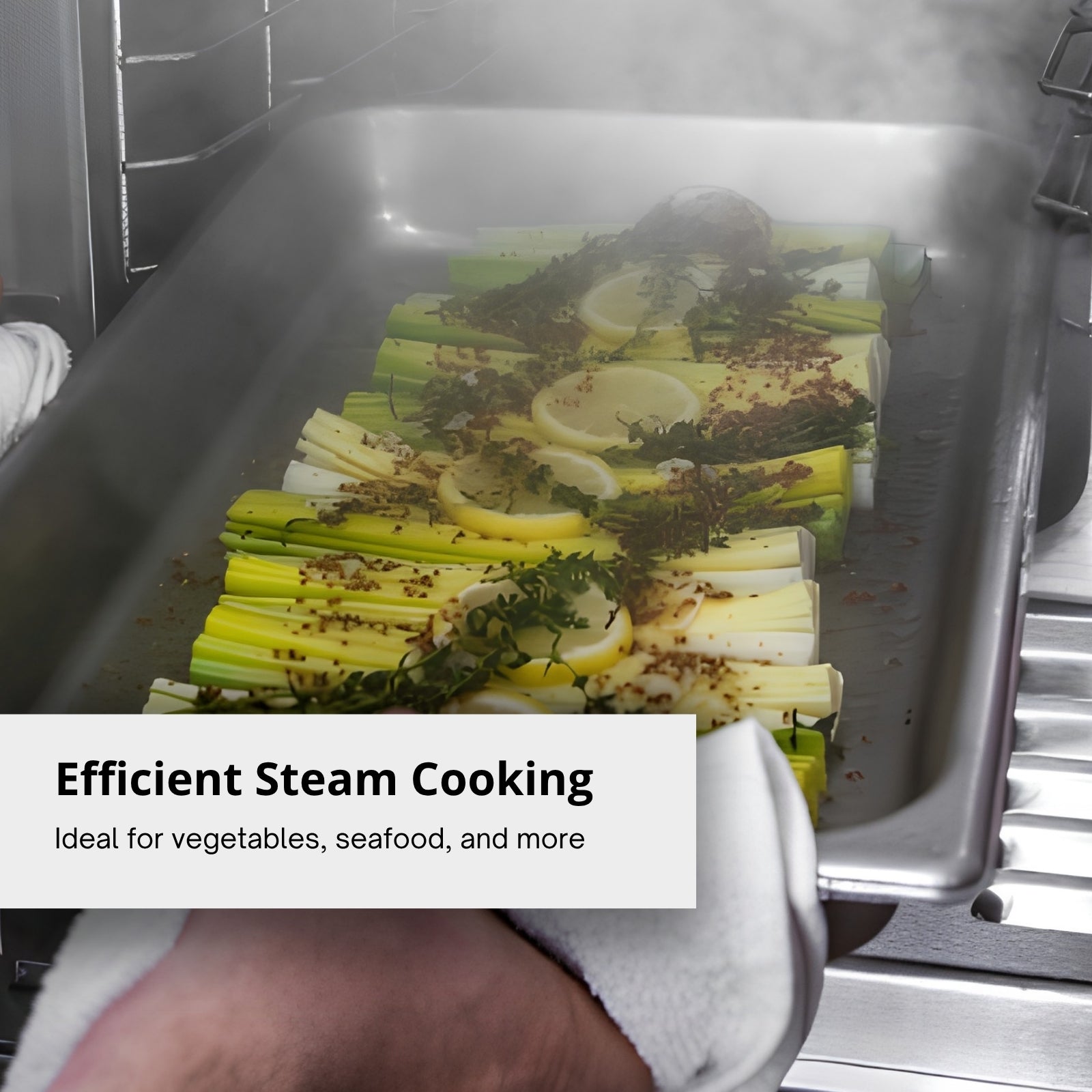 Vulcan C24EA3-PLUS Convection Countertop Steamer