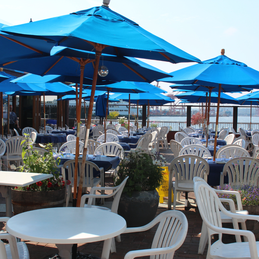 Patio-Ready Durability
