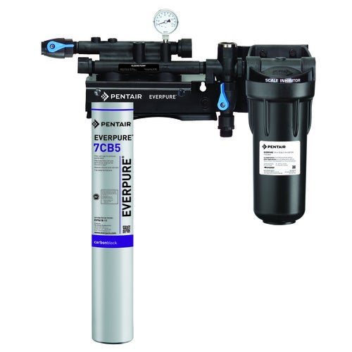 Everpure EV979721 Water Filtration System for Steam Equipment