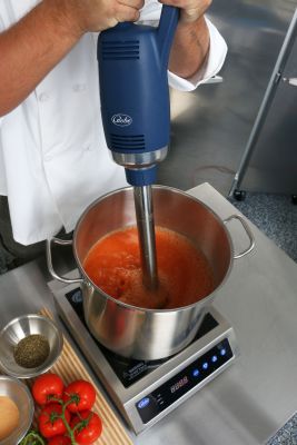 Globe GIB500-12 12" Heavy Duty Immersion Blender | 3/4 HP