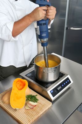 Globe GIB750-14 14" Heavy Duty Immersion Blender | 1 HP