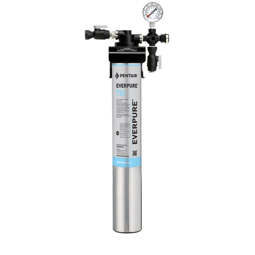 Everpure EV932470 Water Filtration System for Ice Machine