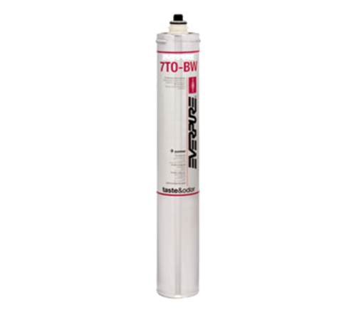Everpure EV962704 Reverse Osmosis System Cartridge