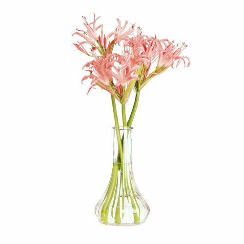 Cambro BV6CW Camwear 6" Plastic Flower Bud Vase