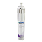 Everpure CTO-Q Water Filtration System Cartridge