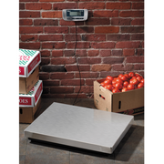 Edlund ERS-300 Scale, Receiving, Digital