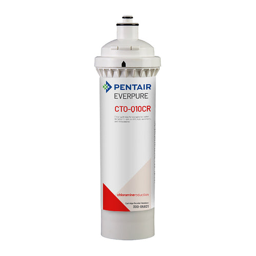 Everpure CTO-Q10CR Water Filtration System Cartridge