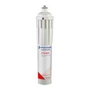 Everpure CTO-QCR Water Filtration System Cartridge